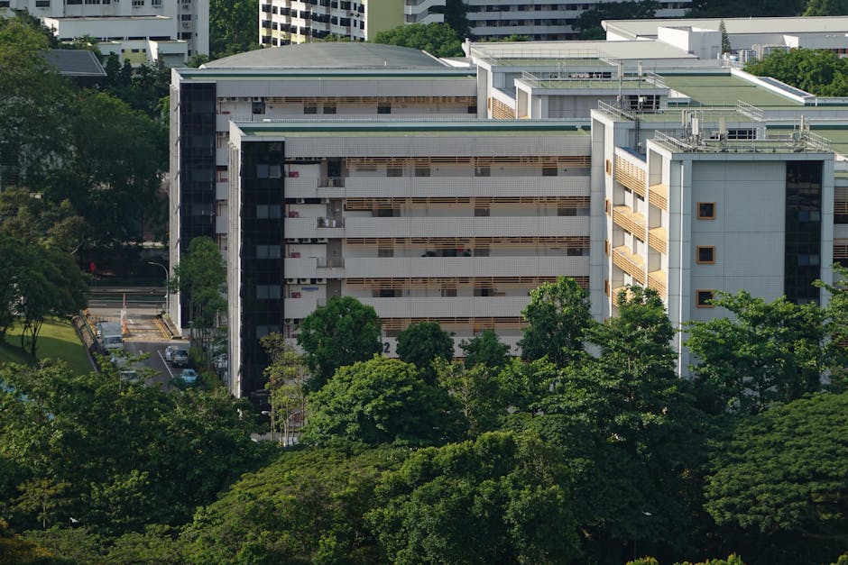 用户支付的充电服务 东南亚市场研究报告